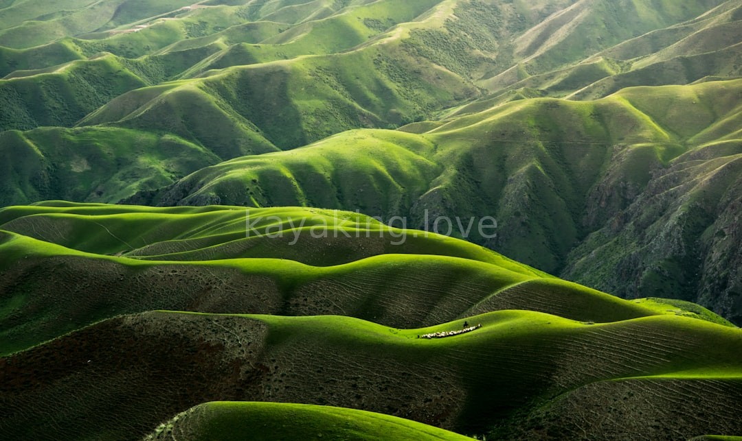 River Landscape